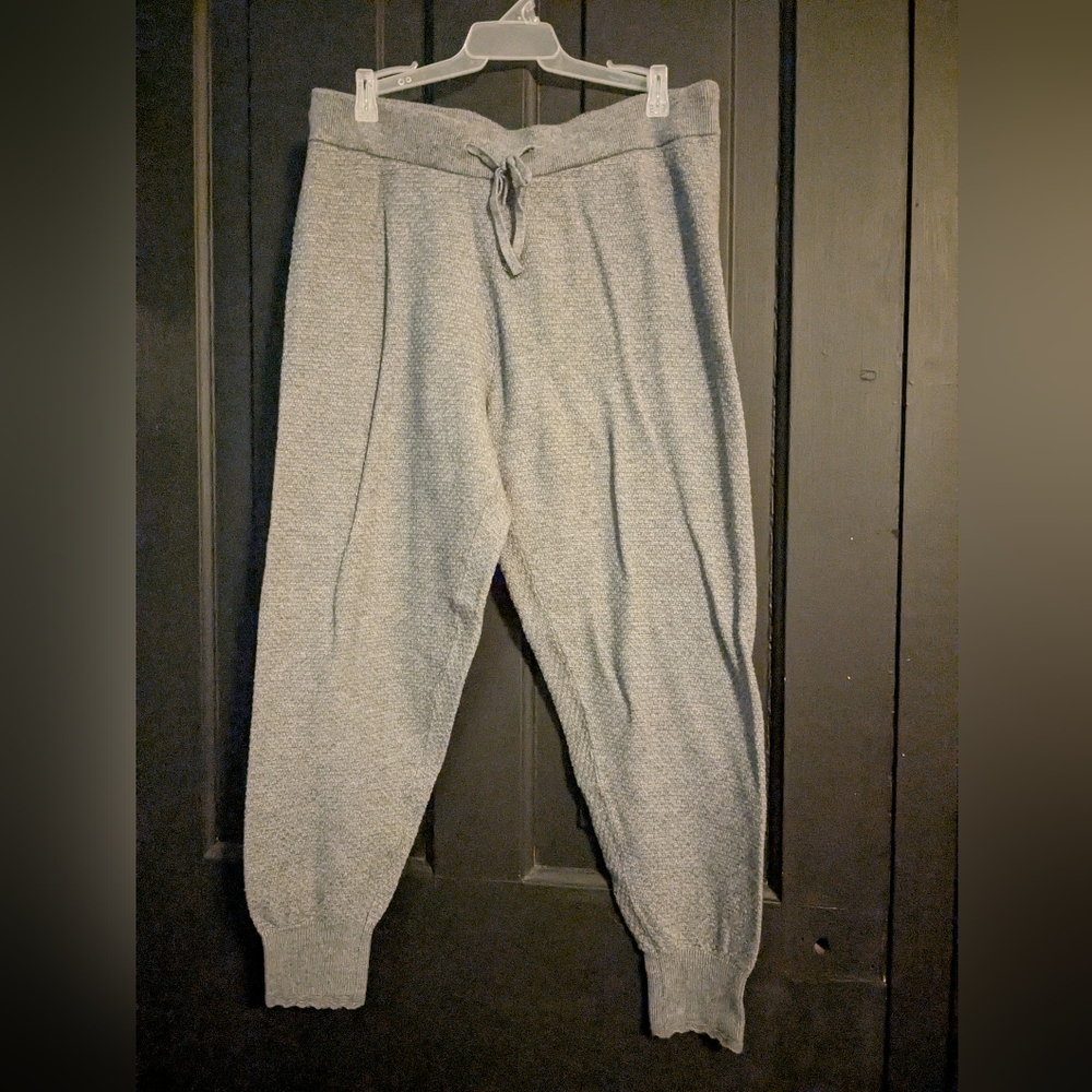 Express Light Gray Joggers Lafies